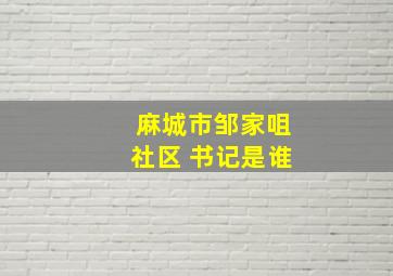 麻城市邹家咀社区 书记是谁